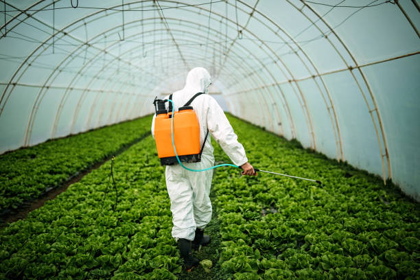 Best Pest Prevention Services  in Willimantic, CT