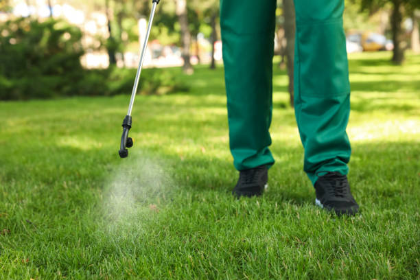 Best Best Pest Control Companies  in Willimantic, CT