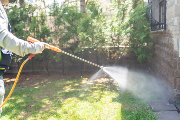 Best Spider Control Near Me  in Willimantic, CT
